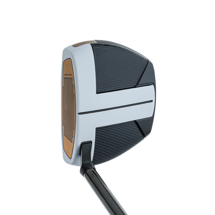 TaylorMade Spider FCG Hot List 2021 Golf Digest Mallet Putters